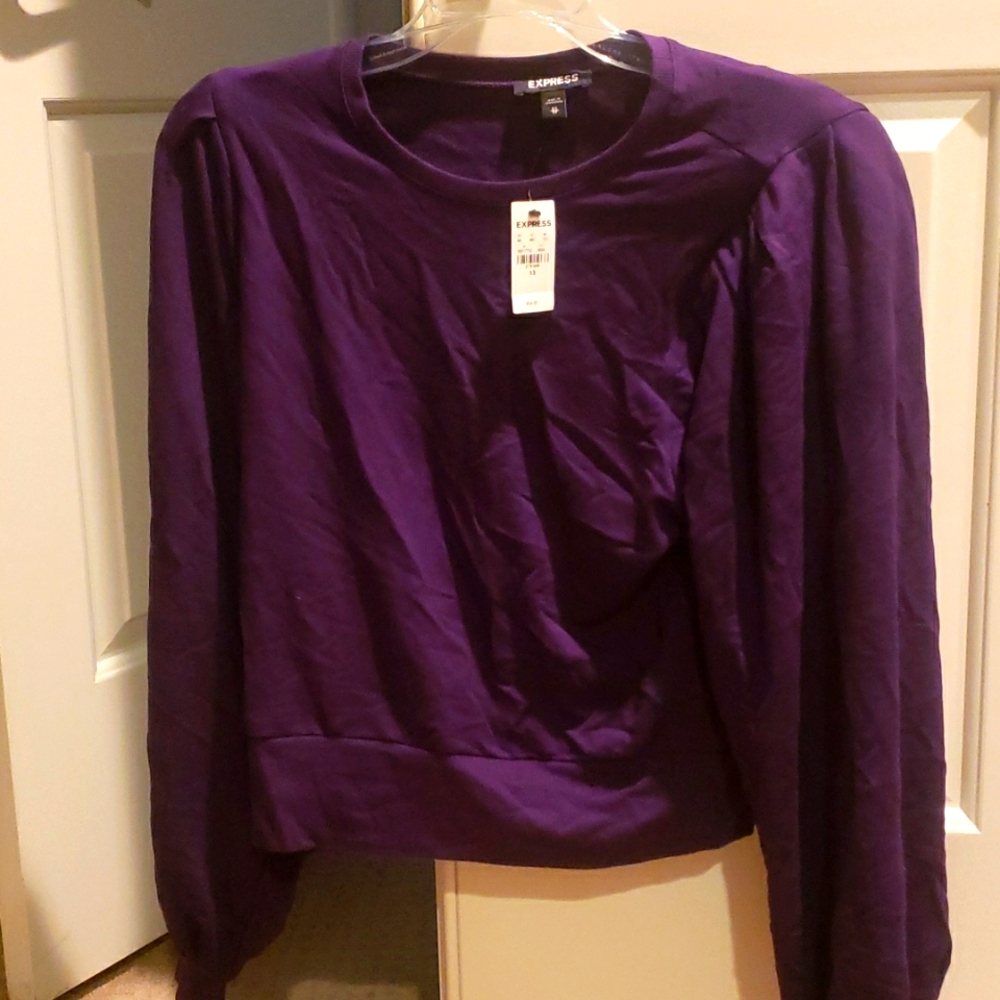 NWT Express balloon sleeve sweatshirt